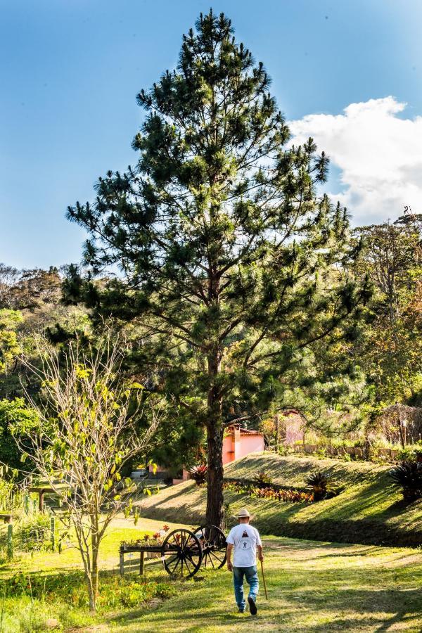 Sitio Araxa - 82 Anos De Historia - Suite Confortavel Em Meio A Floresta Paty do Alferes Exterior foto
