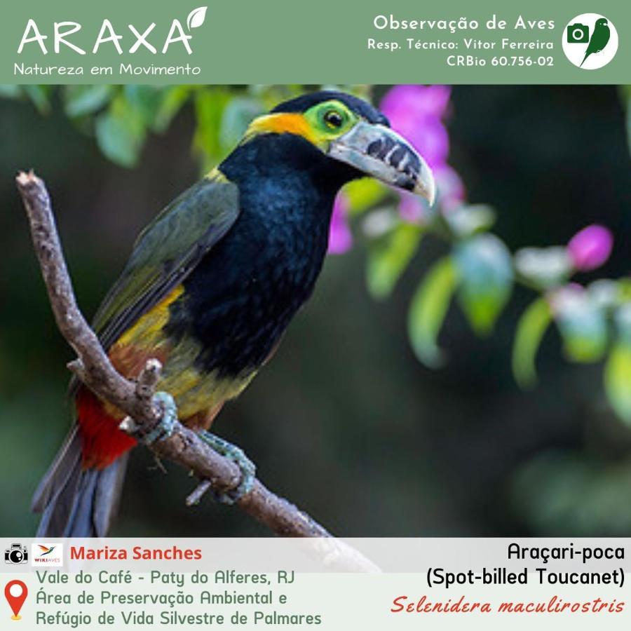 Sitio Araxa - 82 Anos De Historia - Suite Confortavel Em Meio A Floresta Paty do Alferes Exterior foto